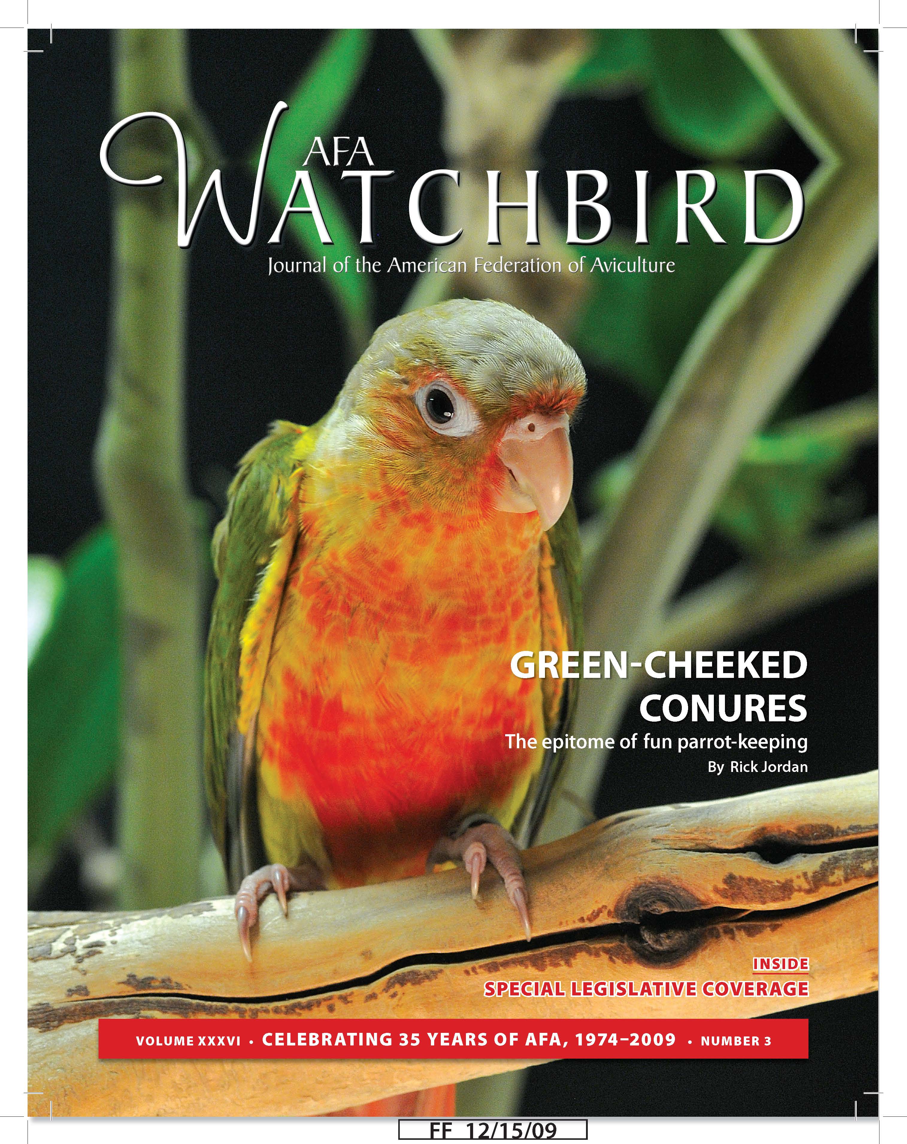 What Type of Bird Is Ari? – Green-Cheeked Conure – Nature Blog Network